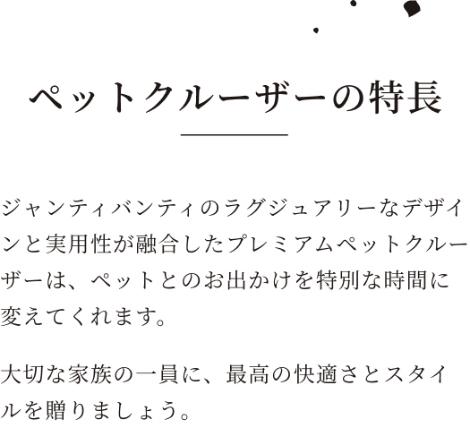 ペットクルーザーの特徴